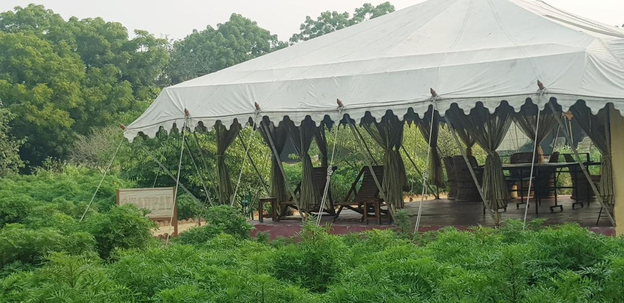 פושקאר Orchard Tents & Tranquility מראה חיצוני תמונה