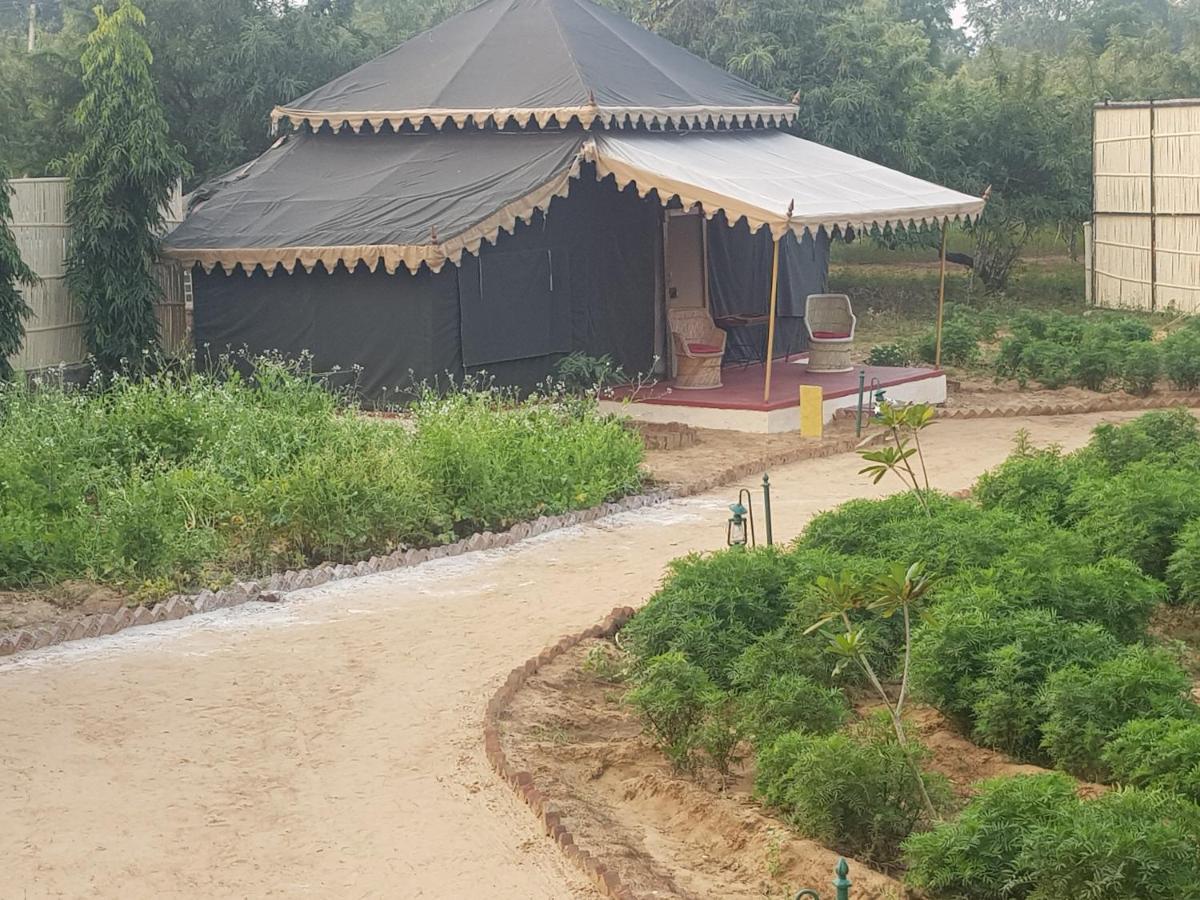 פושקאר Orchard Tents & Tranquility מראה חיצוני תמונה